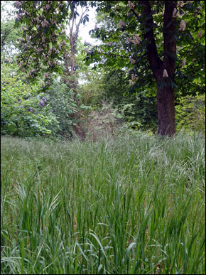 Spandau_kl_290px_web